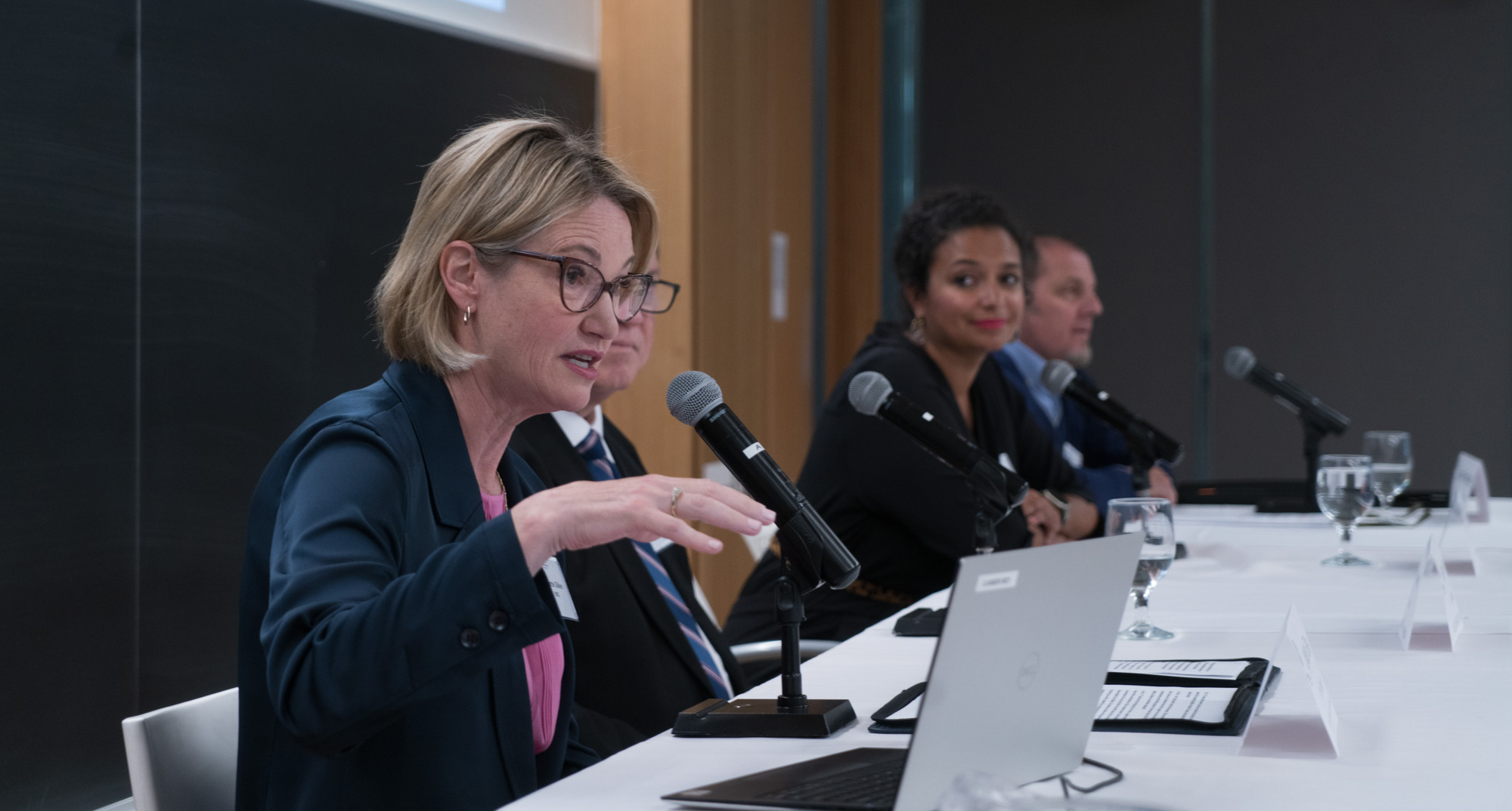 A panel of speakers sitting at a long table with microphones.